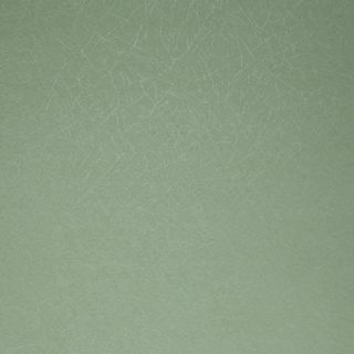 green peel and stick wallpaper 