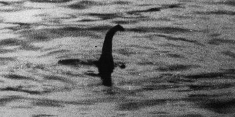 Man Spends 24 Years Hunting Loch Ness Monster, Comes To Sad Truth ...