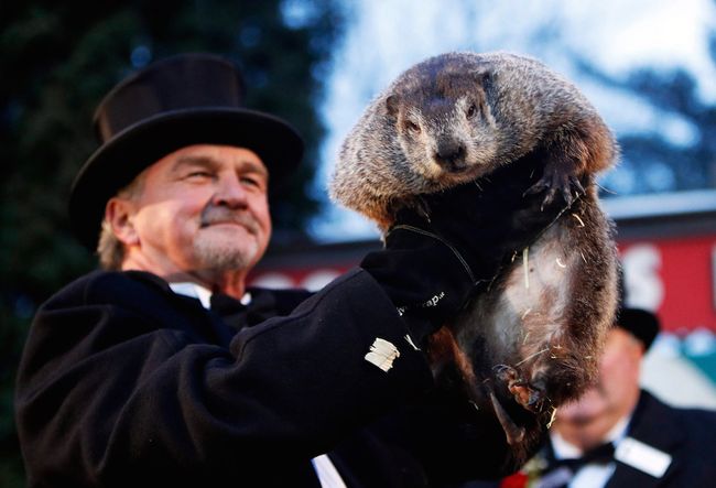 Facts About Groundhogs 