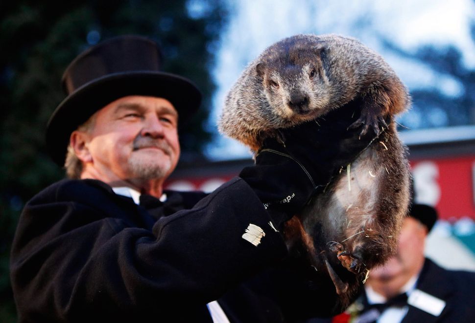 Facts about groundhogs | Live Science