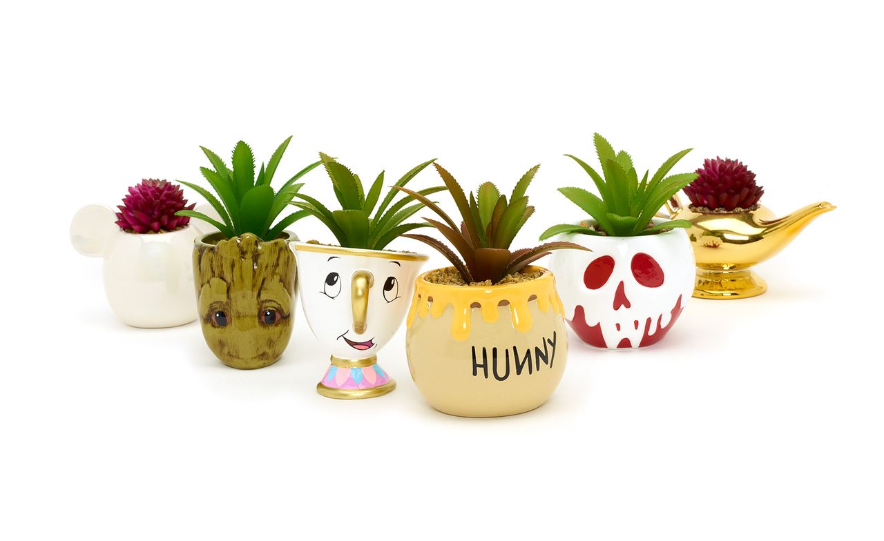 disney plant pots