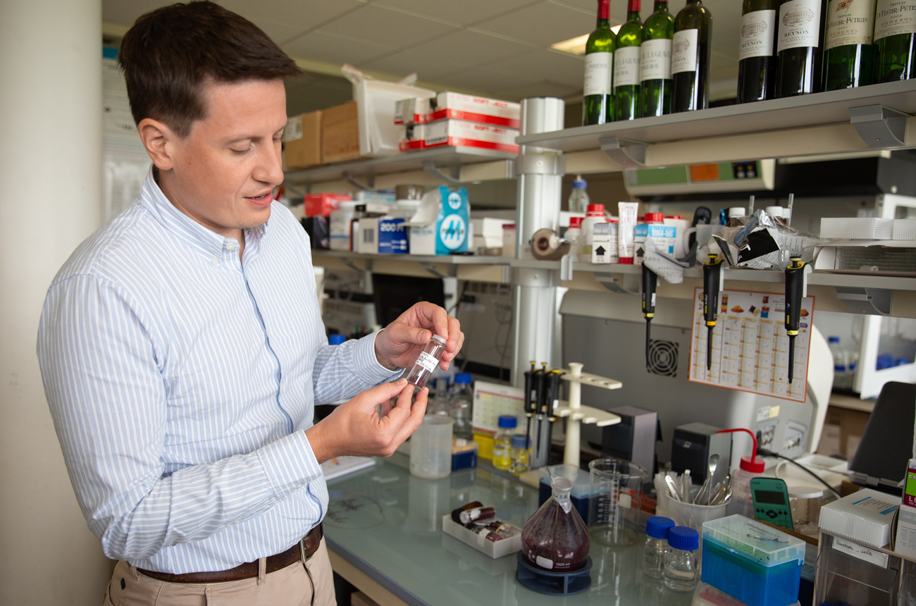 Axel Marchal ISVV Laboratory