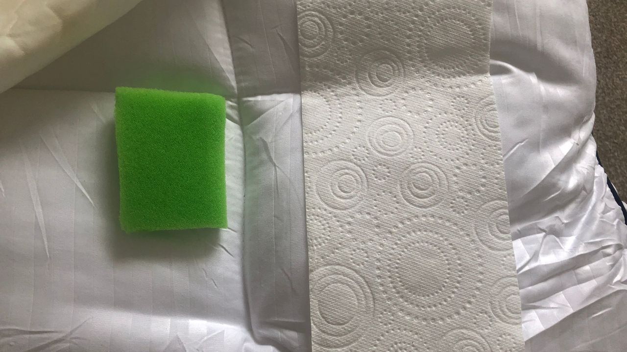 A sponge and paper towel test