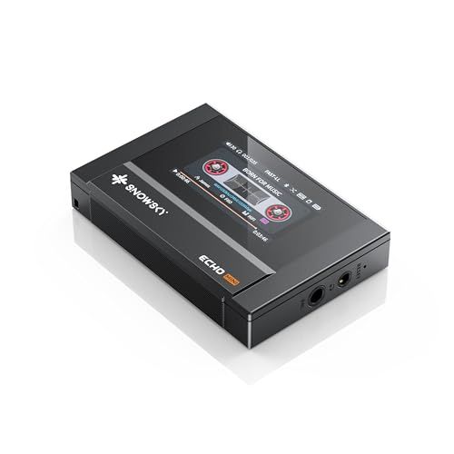 FiiO Echo Mini DAP 