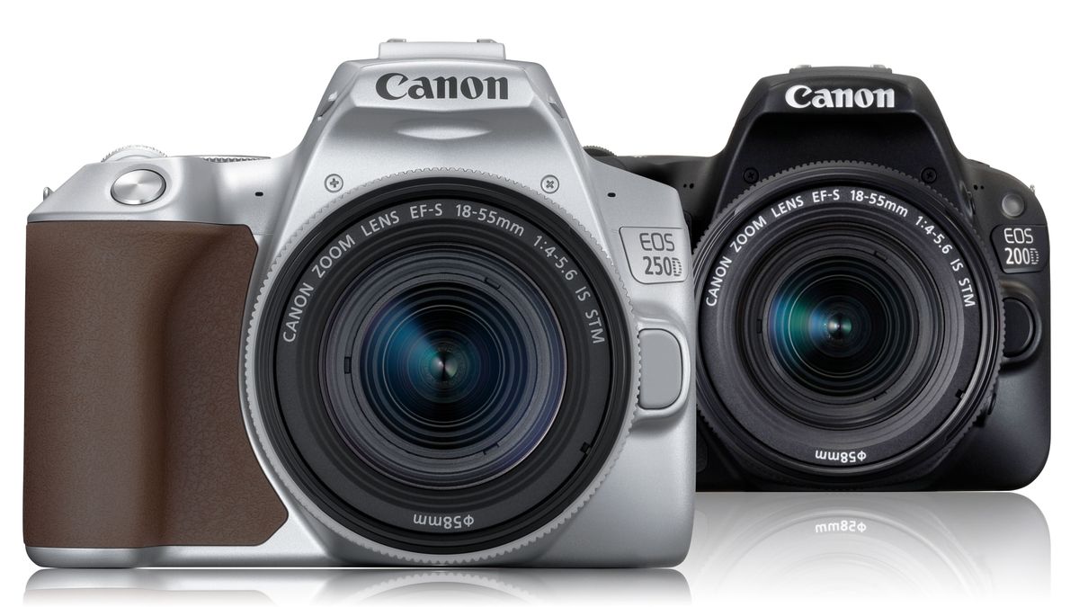 Canon EOS 250D vs EOS 200D / Insurgent SL3 vs Insurgent SL2