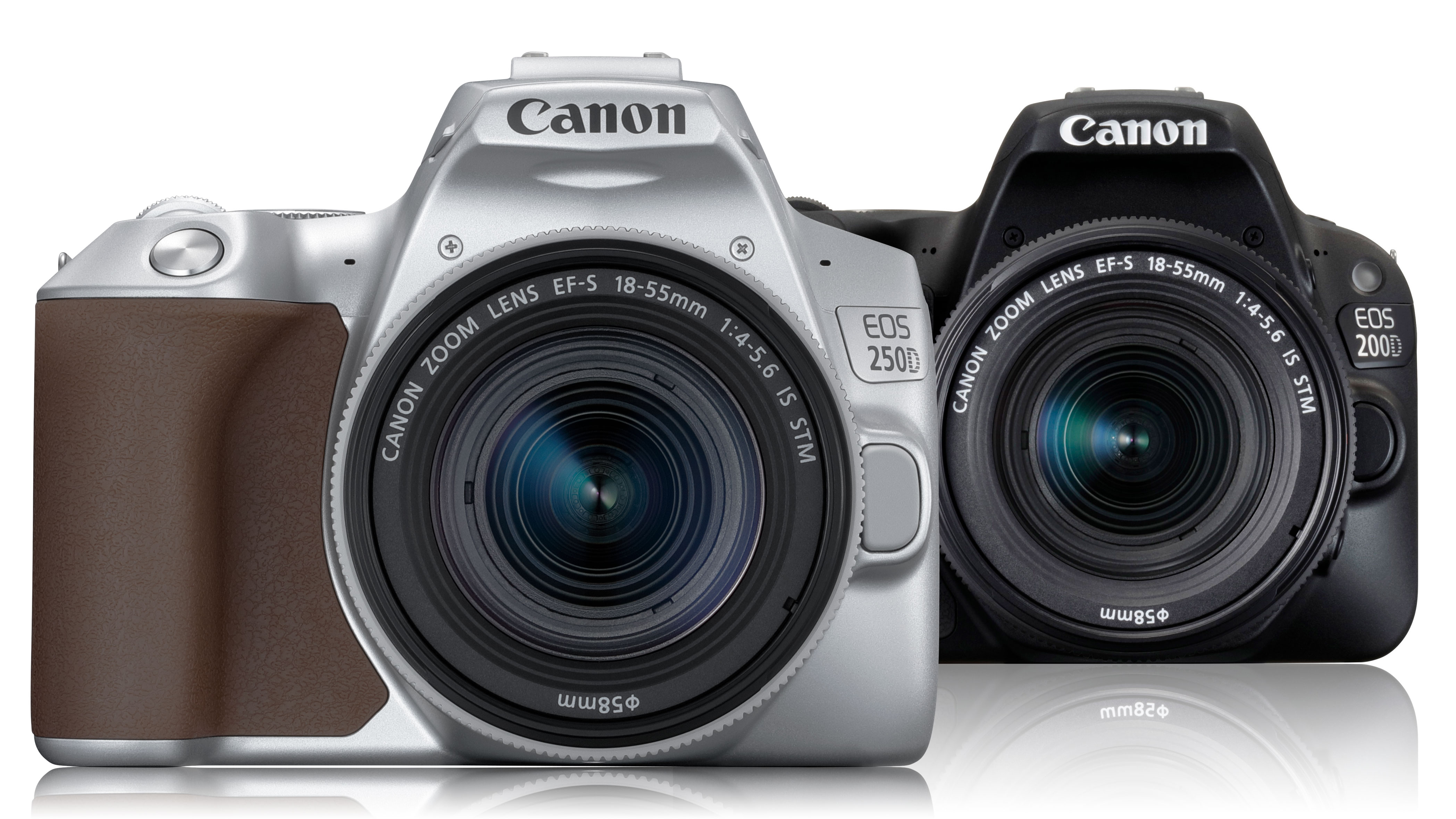 ijs Verminderen Melodieus Canon EOS 250D vs EOS 200D / Rebel SL3 vs Rebel SL2 | Digital Camera World