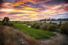 VM-MARL-Taylors-Pass-sunrise.jpg
