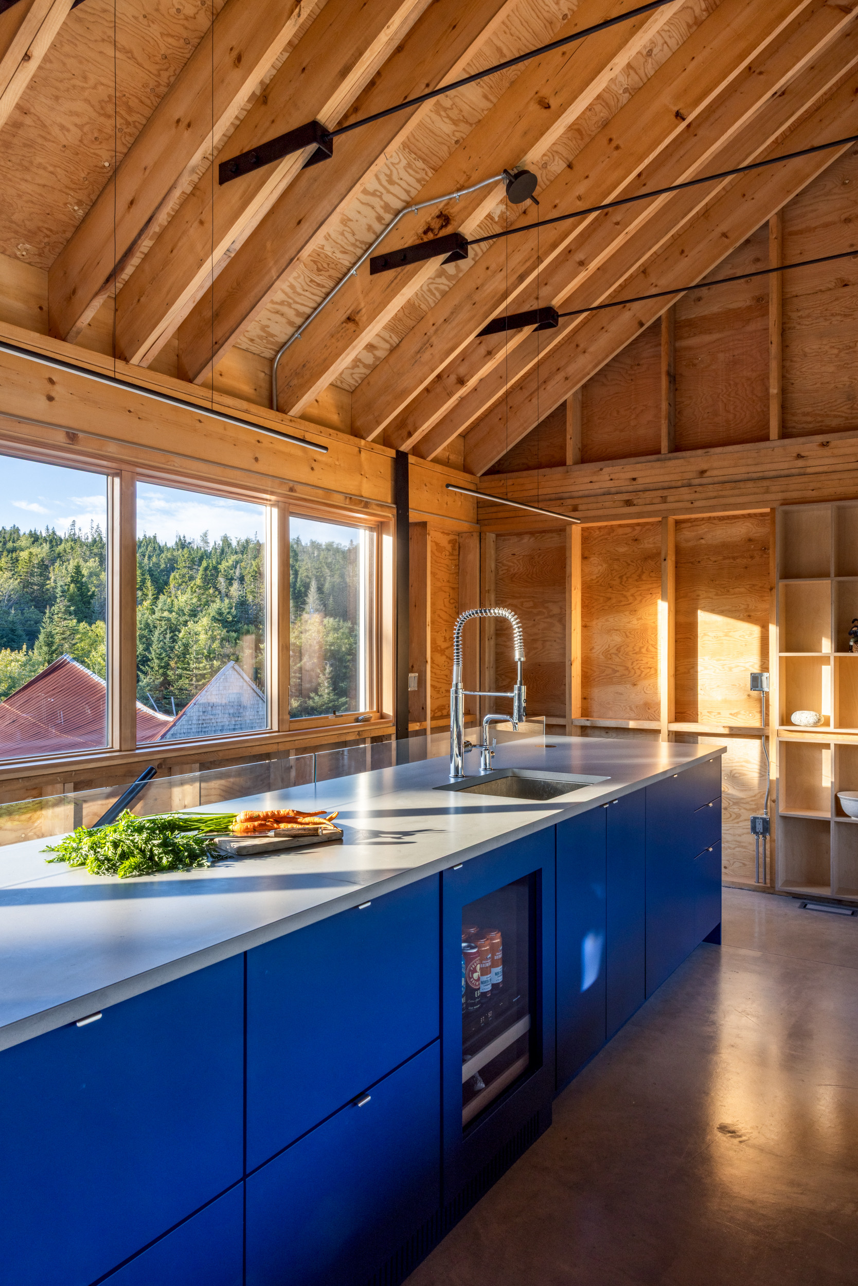 The kitchen counter