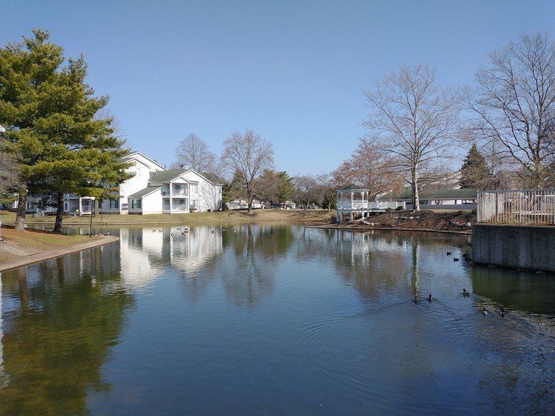 Moto G Power Camera Sample
