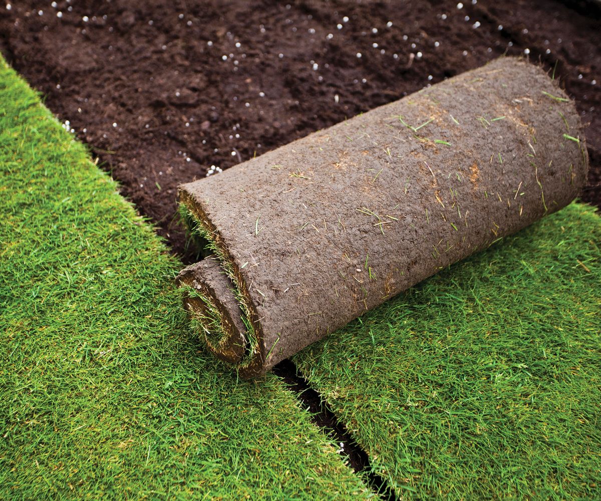 How to lay turf like a pro 3 steps to a successful lawn Homebuilding