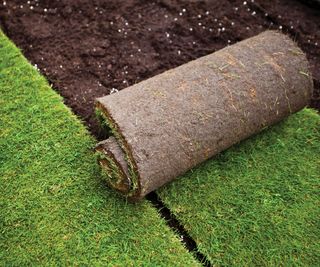 A fresh roll of turf being laid on soil