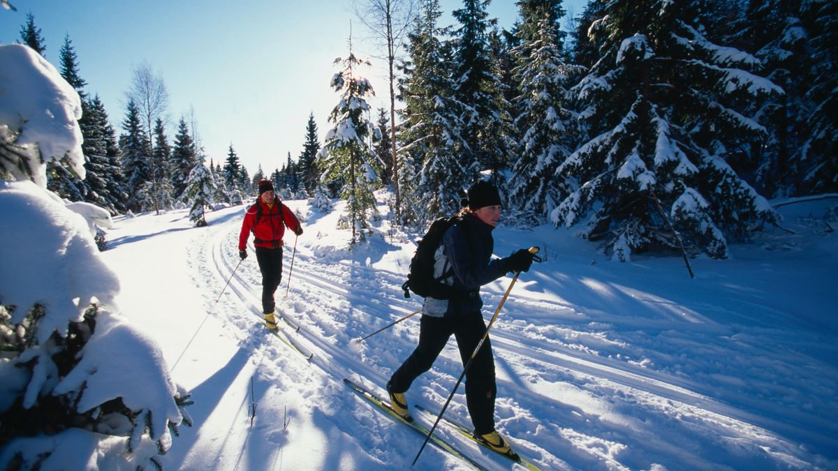 The best crosscountry skis 2024 tested by experts Advnture