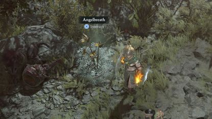 Diablo 4 Angelbreath