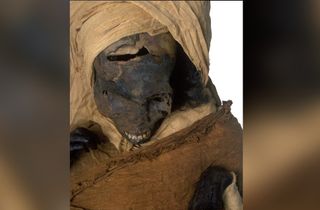 The mummy of Seqenenre Taa II was first discovered in the 1880s. Even then, archaeologists noticed several prominent wounds on the pharaoh's face.
