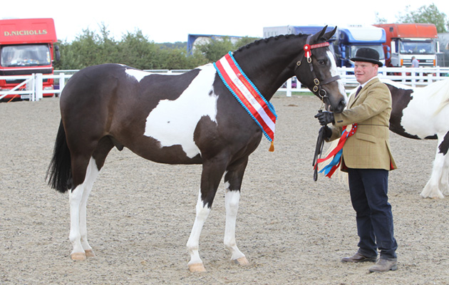 CHAPS Championships 09 08 2015