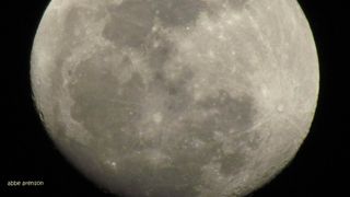 This view of the "supermoon" full moon of March 19, 2011 was taken by skywatcher Abbe Arenson of Sanford, Fla.
