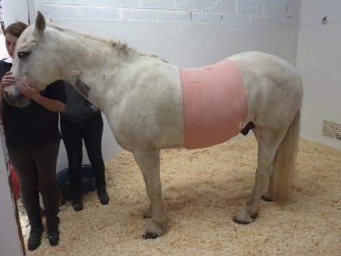 Patrick had to be operated on to remove wire from a Chinese lantern