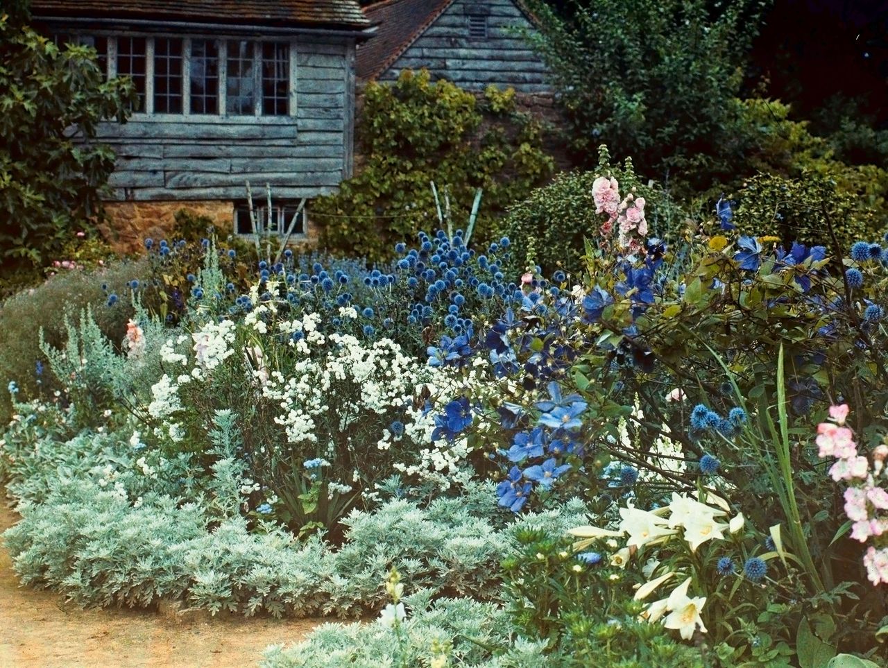 The grey border and loft at Munstead Wood. Photographed circa 1912. Originally thought to have been taken by Gertrude Jeykll, but later attributed to Herbert Cowley - then Country Life gardens editor.