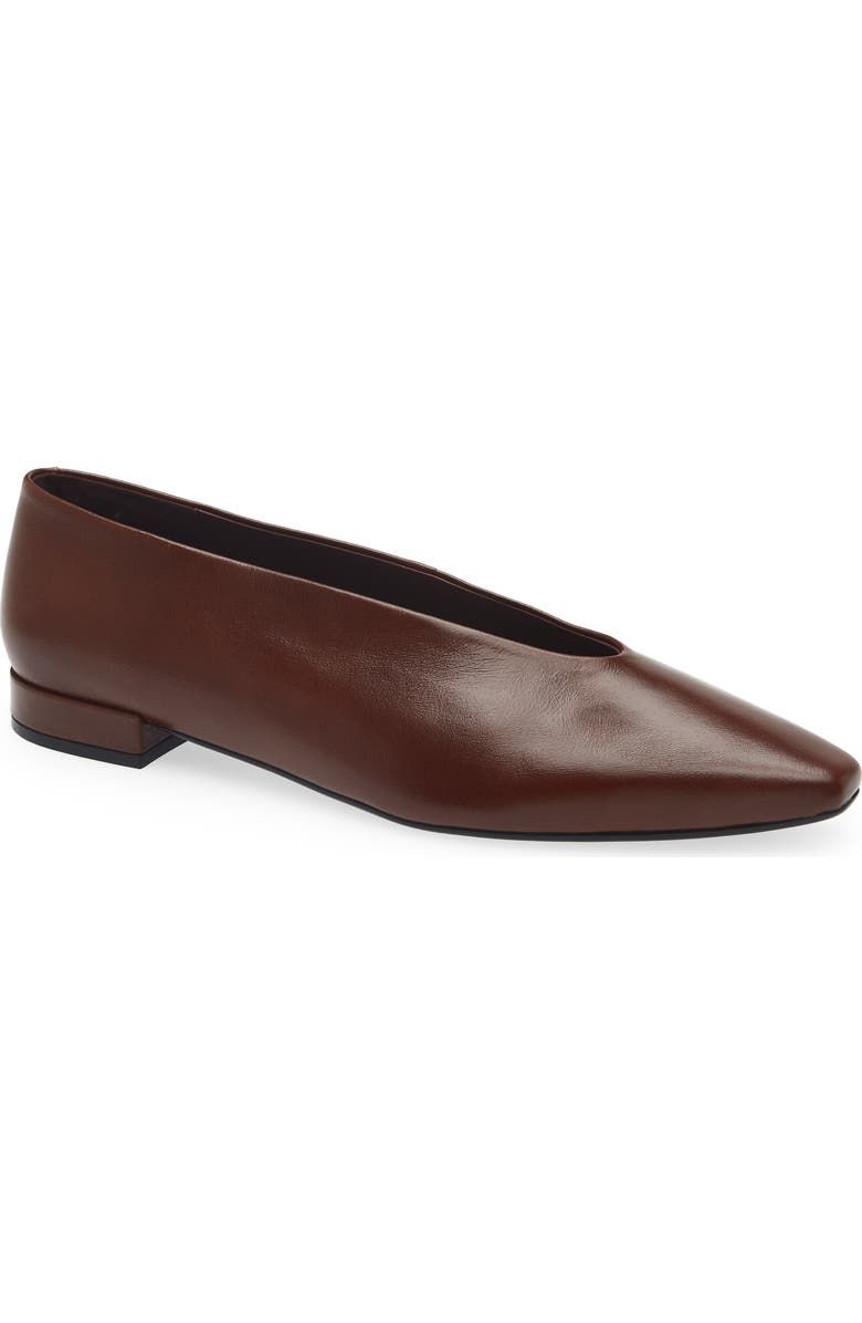Hinted Pointed Toe Flat