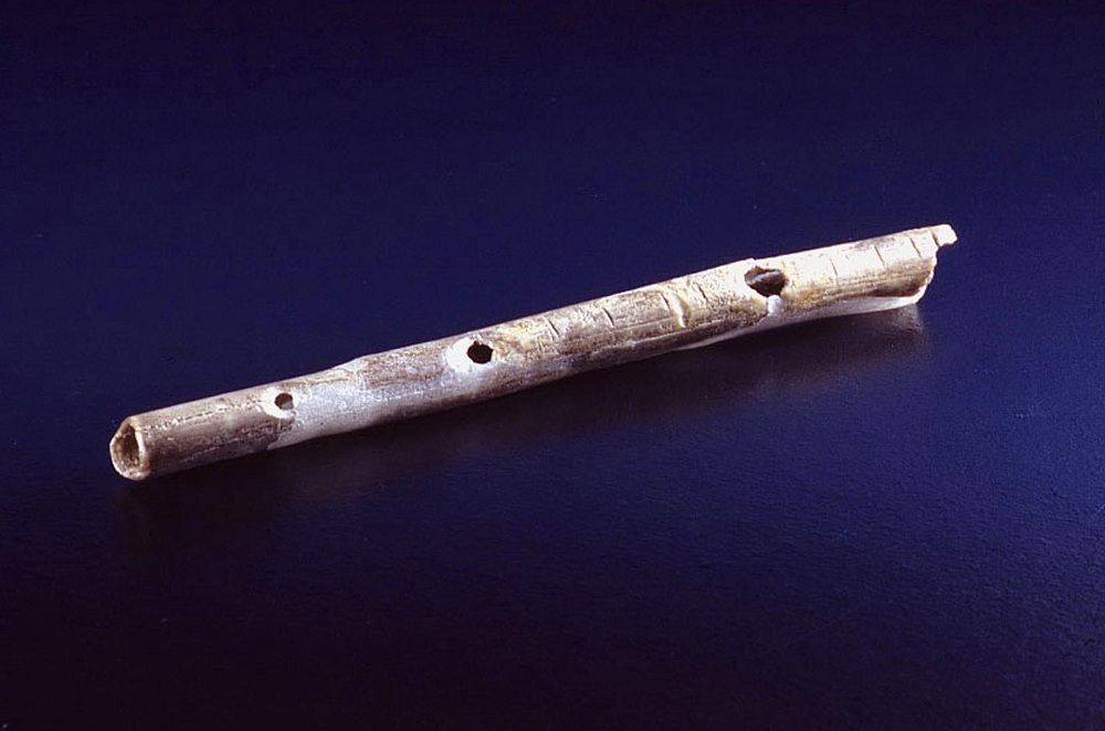 Bird bone flute