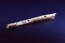 Bird bone flute