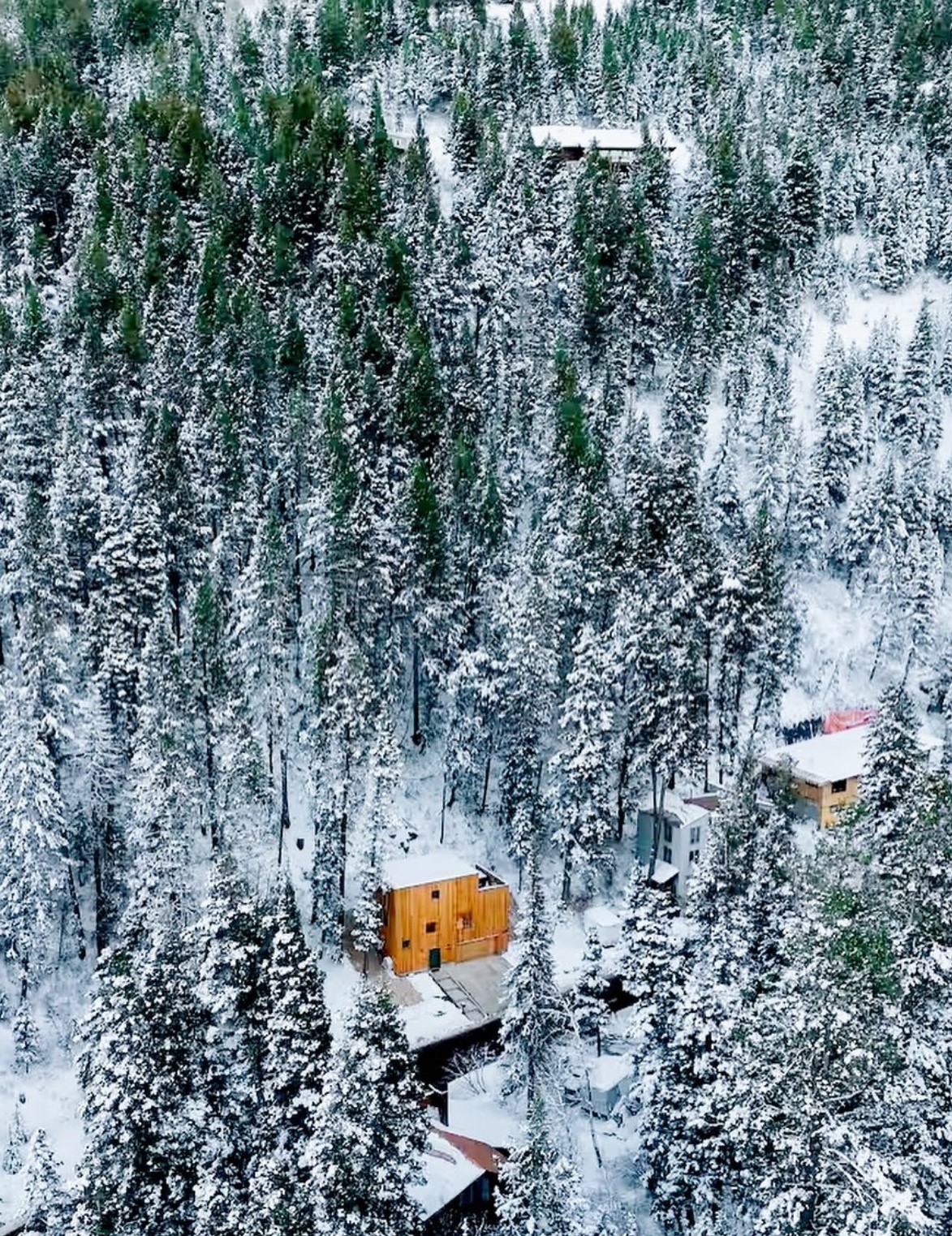 Parkview Mountain House by Mattaforma, a wooden house in a forest, snowy views