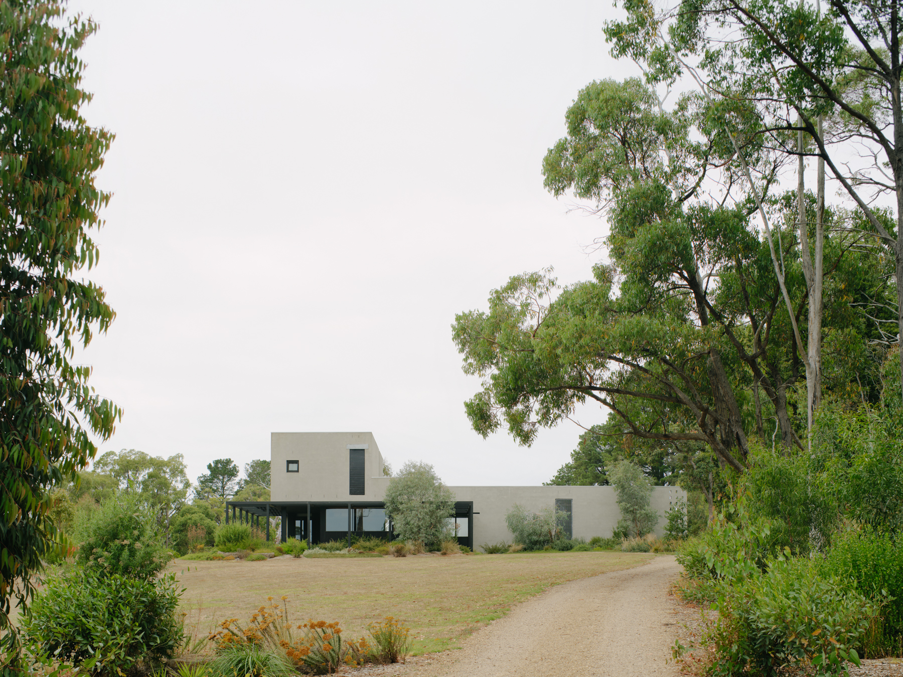 a rural house in australia, designed to be minimalist and surrounded by nature