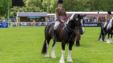 royal windsor senior ridden pony championship