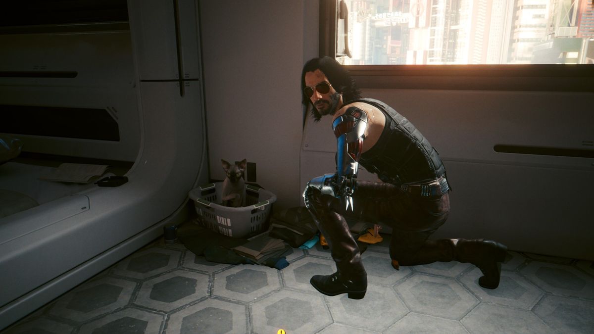 Cyberpunk 2077 Nibbles How to snap your cat in photo mode PC Gamer