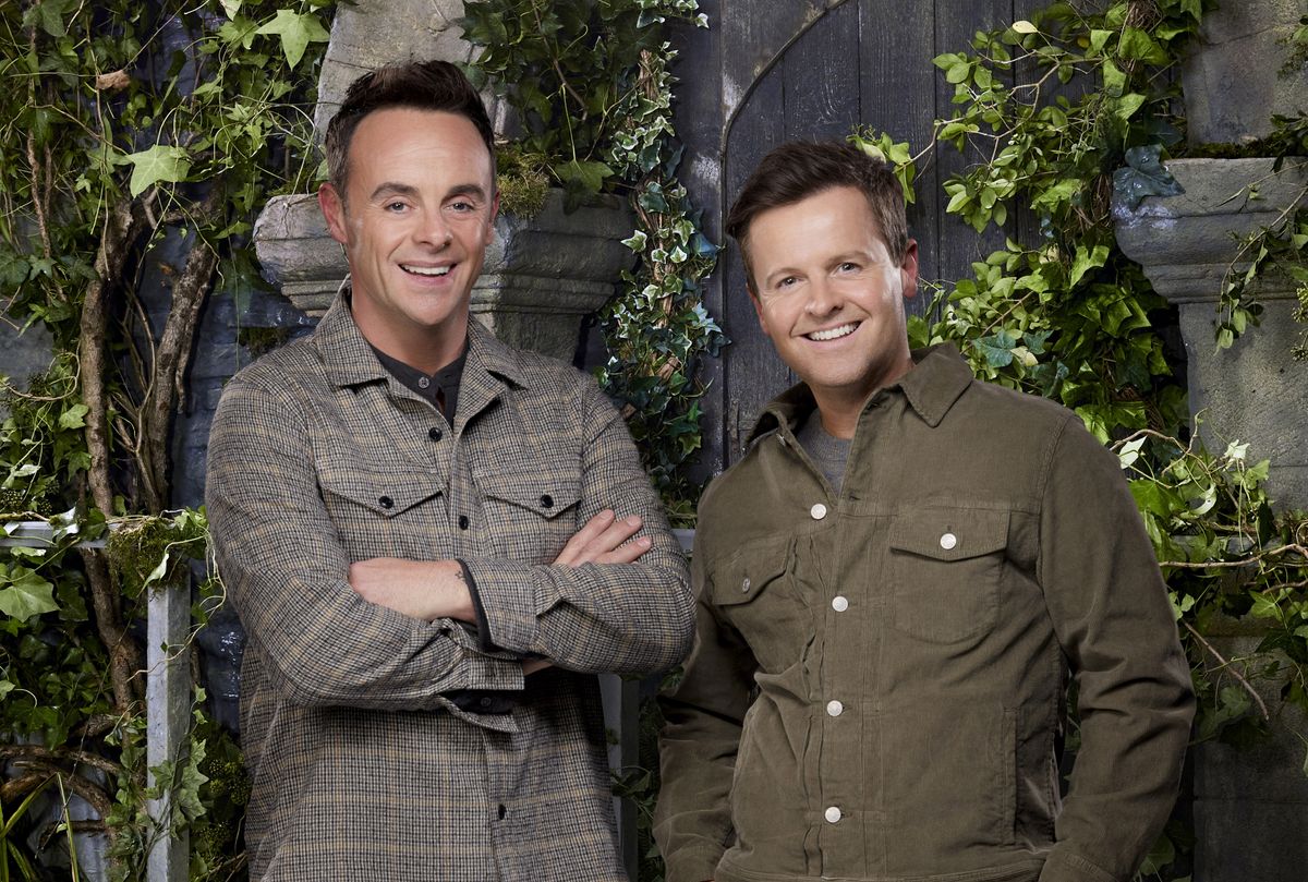 Ant and Dec presenting I&#039;m A Celebrity in Wales 