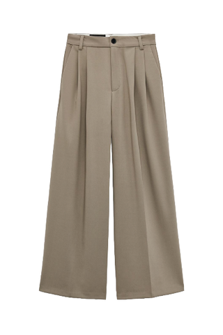 Zara Double Pleat Pants 