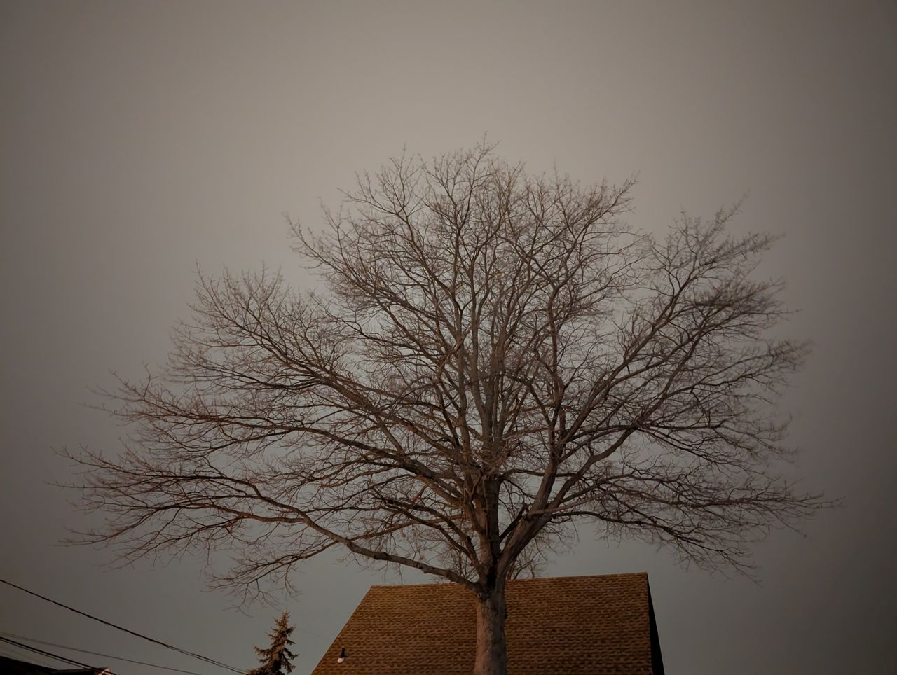Google Pixel 9 Pro XL low light sample