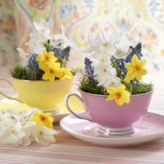 Flower cups photo
