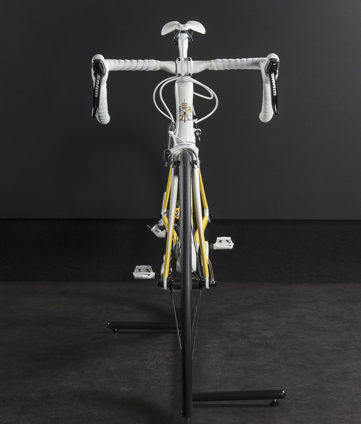 The Specialized Venge presented to Pope Francis by Peter Sagan