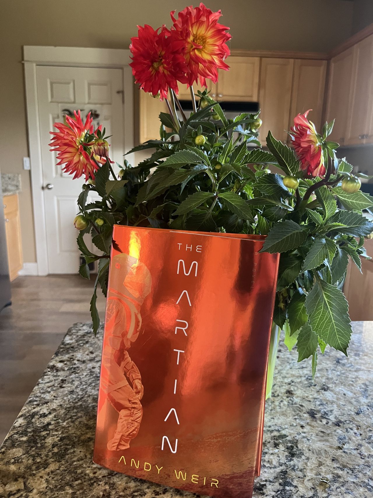 The deluxe edition of The Martian by Andy Weir