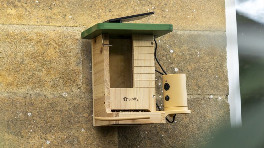 The Birdfy Wood feeder attached to a sandstone wall
