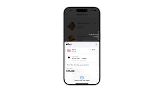 Apple Pay löschen