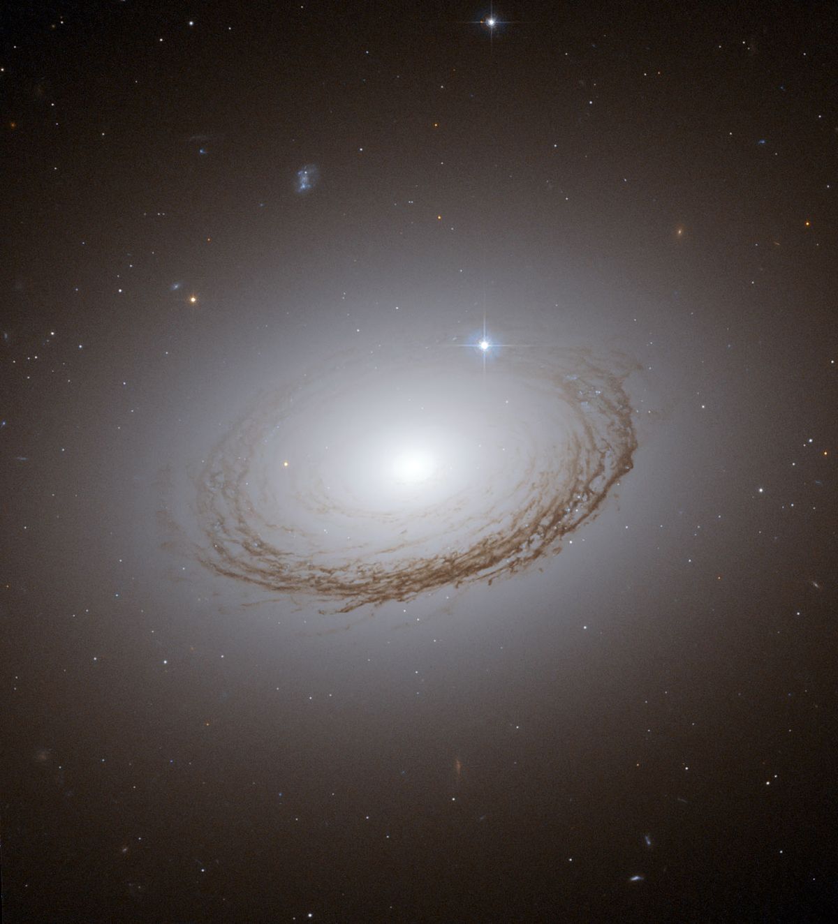 Our Milky Way Galaxy Has a Mysterious 'Great Dark Lane' | Space