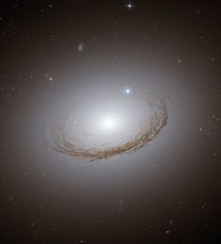 Galaxy NGC 7049