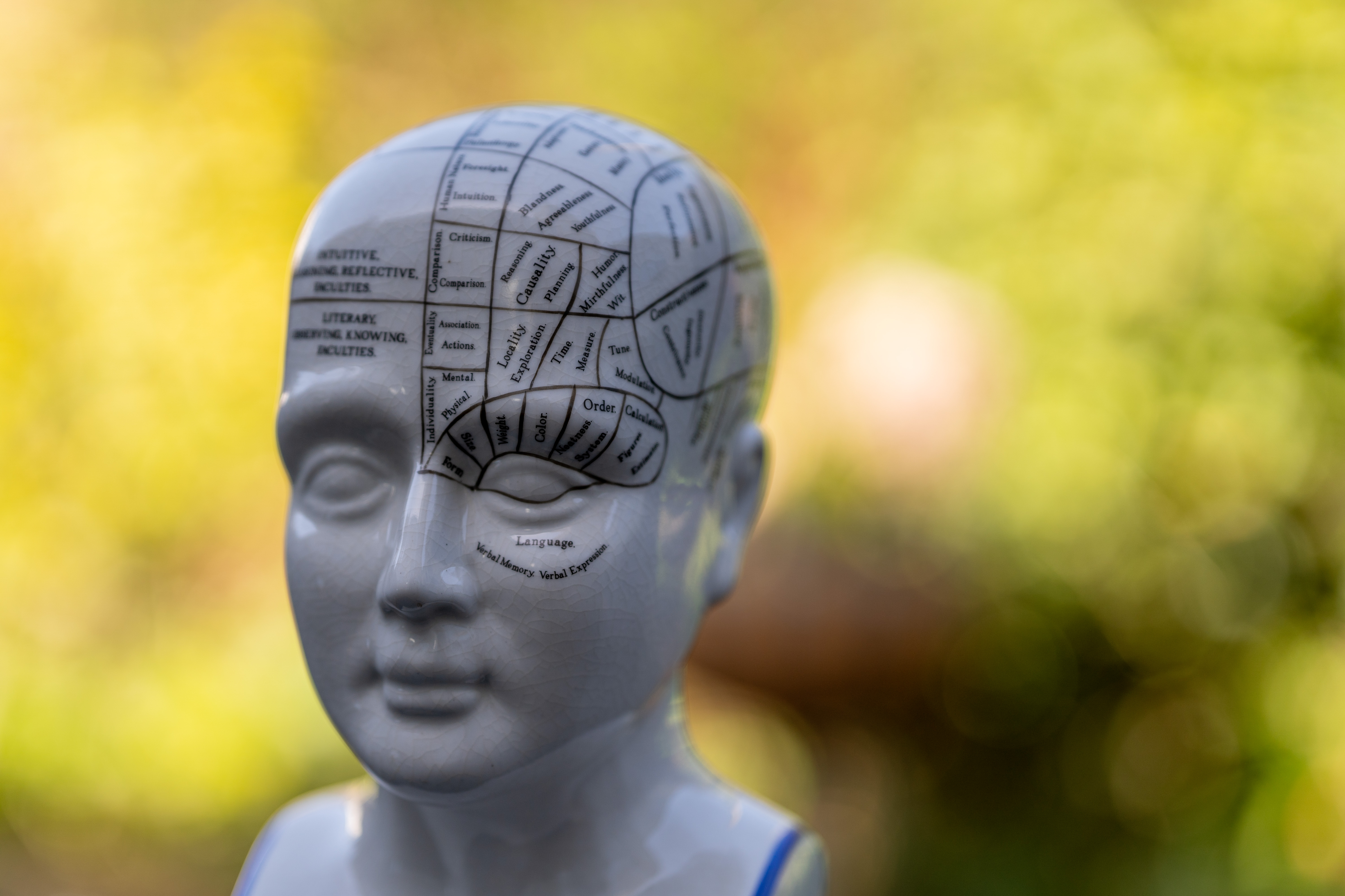 Meike AF 85mm f/1.8 SE II sample image