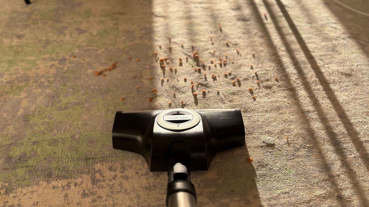 Testing the Miele Guard L1 Cylinder Vacuum