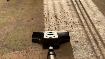 Testing the Miele Guard L1 Cylinder Vacuum