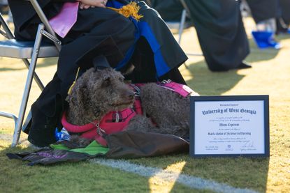 Mona and her honorary degree.