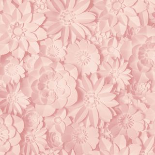 pink 3d floral wallpaper wall