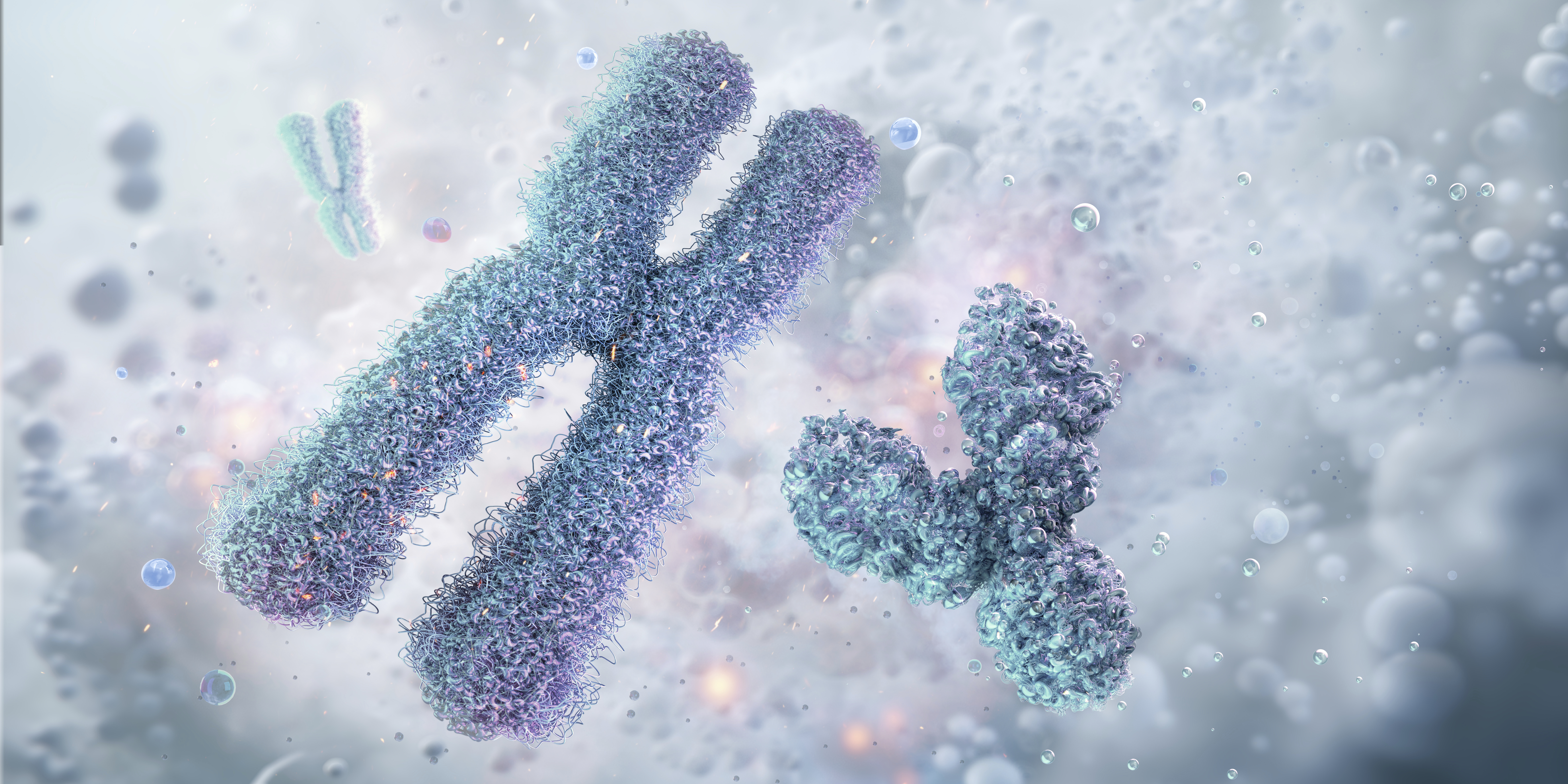 An illustration of X and Y chromosomes floating in space