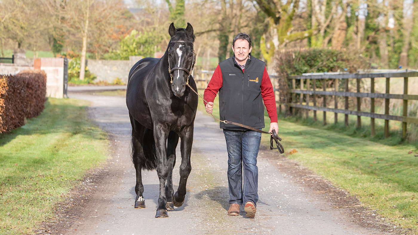 Coolballyshan Stud 05 02 2020