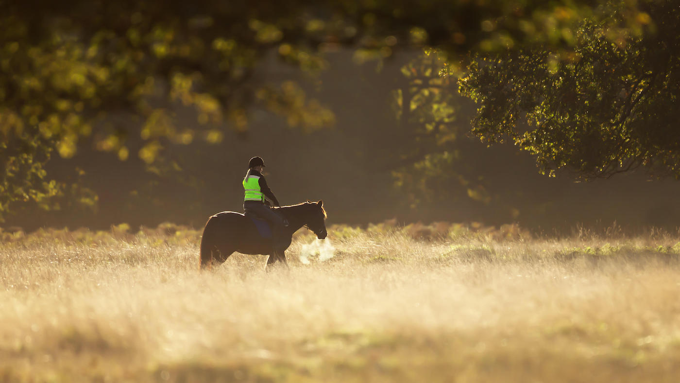 Climate change: why the horse world needs to act