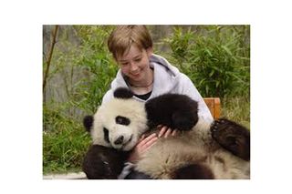 Vanessa Hull plays with one of the tamed baby pandas in the Wolong Nature Reserve.