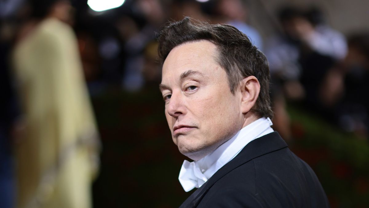 A guide to Elon Musk's big family | The Week