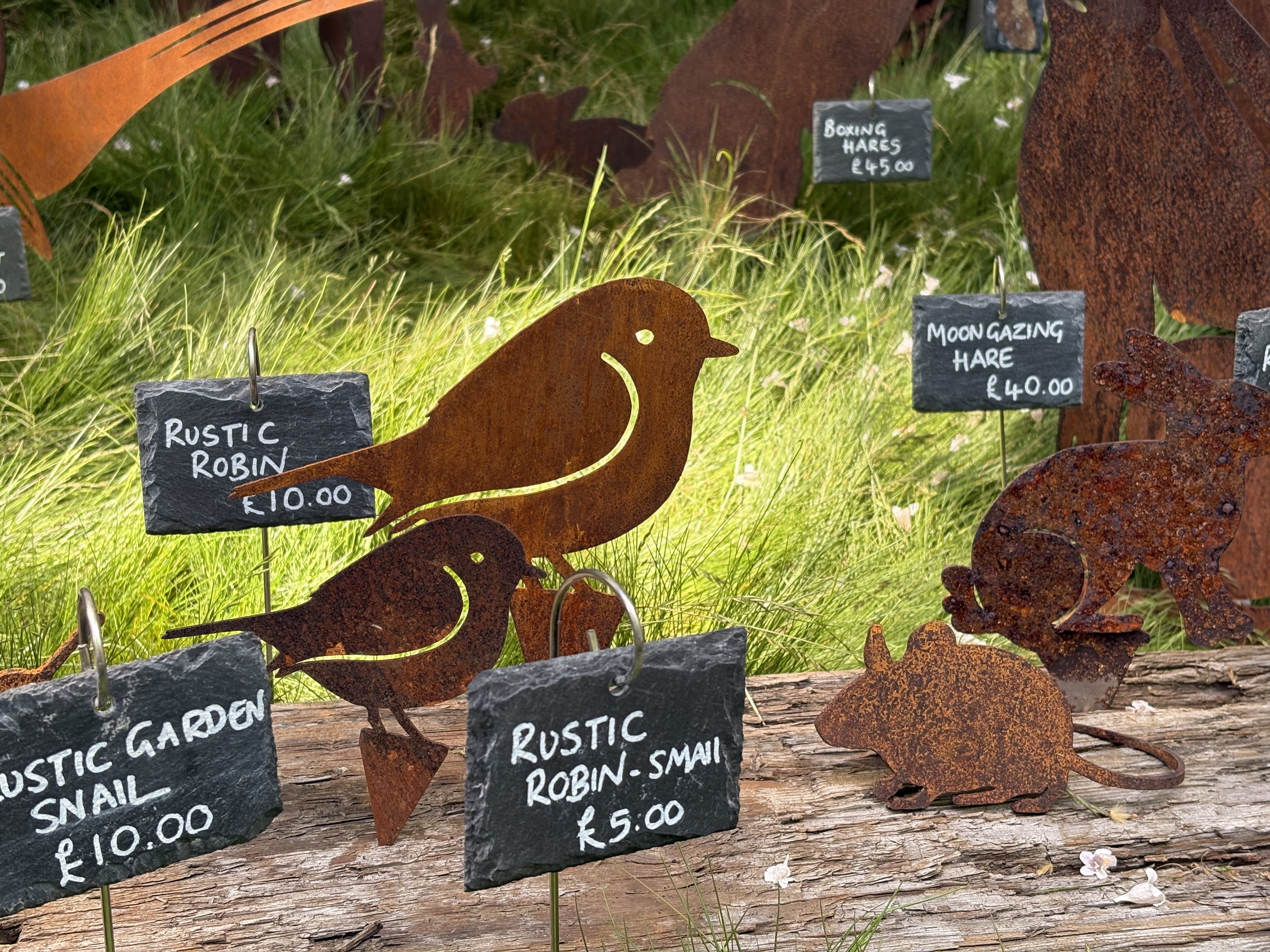 RHS Chelsea Flower Show 2025